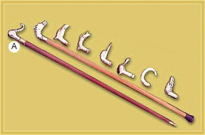 Walking Sticks